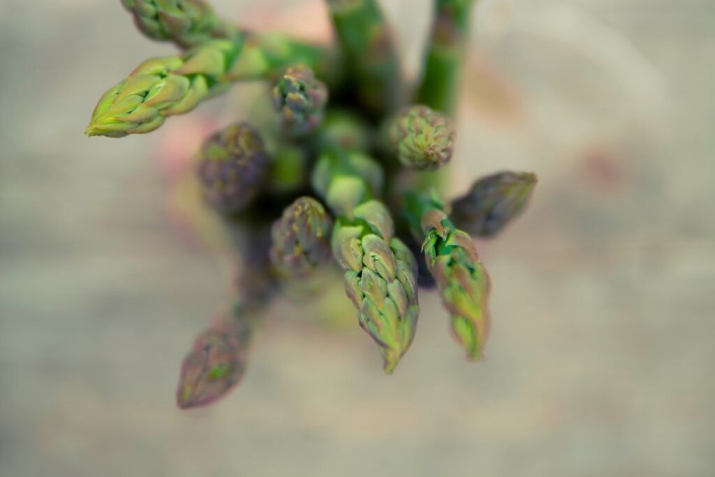 Ricette 2 svg+xml;charset=utf Ricette